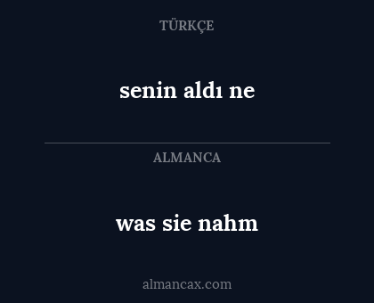 senin aldı ne - was sie nahm