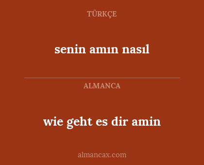 senin amın nasıl - wie geht es dir amin