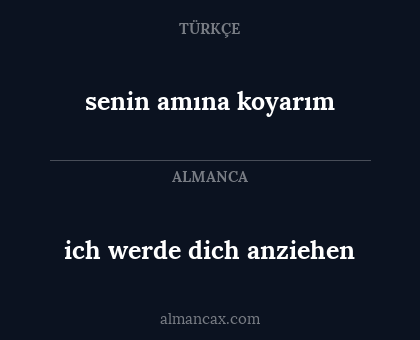 ich werde dich anziehen - senin amına koyarım