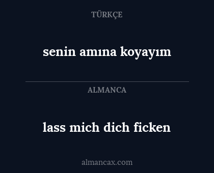 senin amına koyayım - lass mich dich ficken