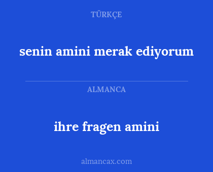 senin amini merak ediyorum - ihre fragen amini