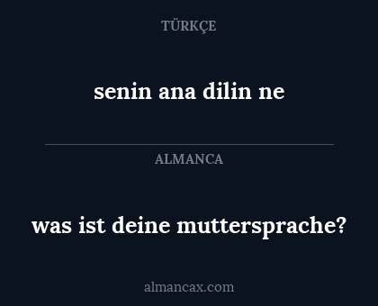 senin ana dilin ne - was ist deine muttersprache?