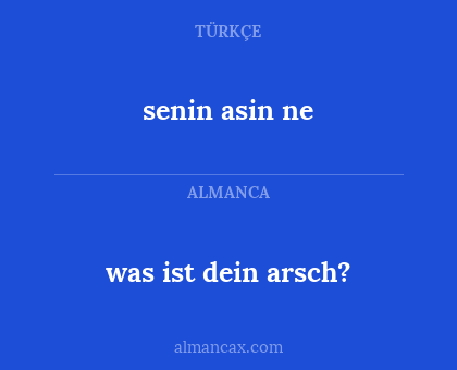was ist dein arsch? - senin asin ne