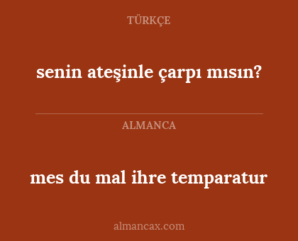 mes du mal ihre temparatur - senin ateşinle çarpı mısın?