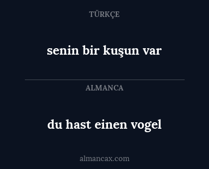du hast einen vogel - senin bir kuşun var