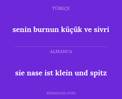 sie nase ist klein und spitz - senin burnun küçük ve sivri