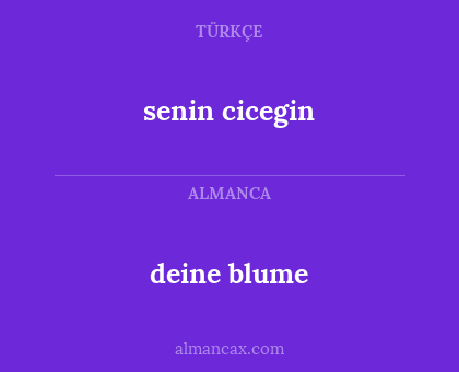 deine blume - senin cicegin