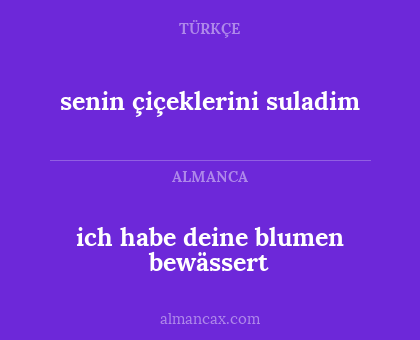 ich habe deine blumen bewässert - senin çiçeklerini suladim