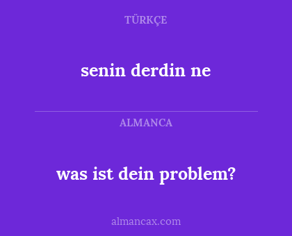 was ist dein problem? - senin derdin ne