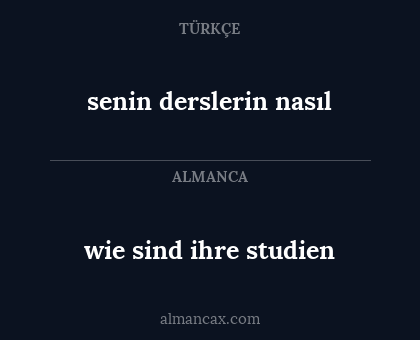 wie sind ihre studien - senin derslerin nasıl