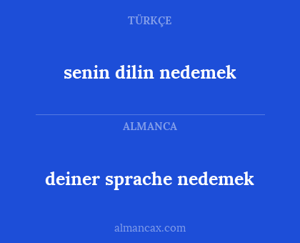 senin dilin nedemek - deiner sprache nedemek