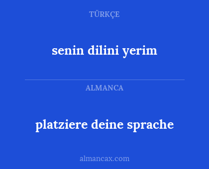 platziere deine sprache - senin dilini yerim