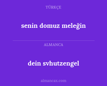 senin domuz meleğin - dein svhutzengel