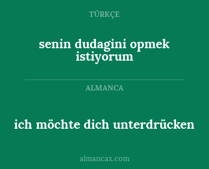 ich möchte dich unterdrücken - senin dudagini opmek istiyorum