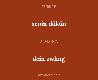 dein zwling - senin dükün