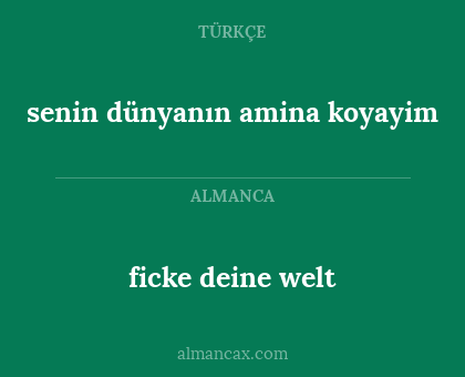 senin dünyanın amina koyayim - ficke deine welt