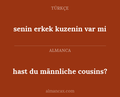 senin erkek kuzenin var mi - hast du männliche cousins?
