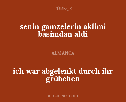 senin gamzelerin aklimi basimdan aldi - ich war abgelenkt durch ihr grübchen