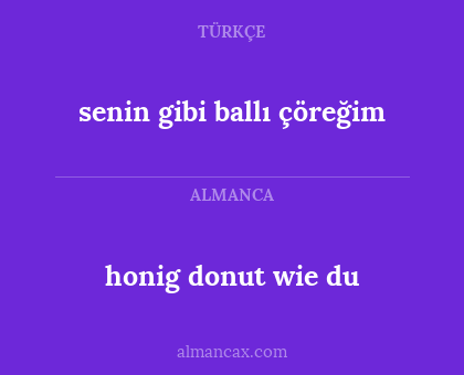 senin gibi ballı çöreğim - honig donut wie du