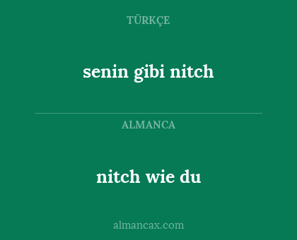 nitch wie du - senin gibi nitch