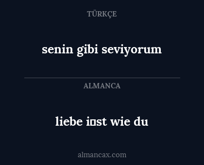 senin gibi seviyorum - liebe i̇st wie du