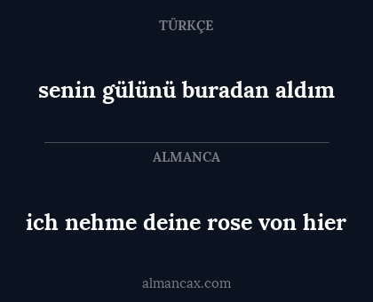 ich nehme deine rose von hier - senin gülünü buradan aldım