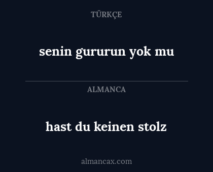 hast du keinen stolz - senin gururun yok mu