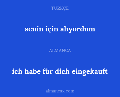 ich habe für dich eingekauft - senin için alıyordum