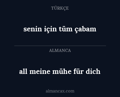 all meine mühe für dich - senin için tüm çabam