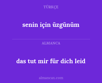 das tut mir für dich leid - senin için üzgünüm