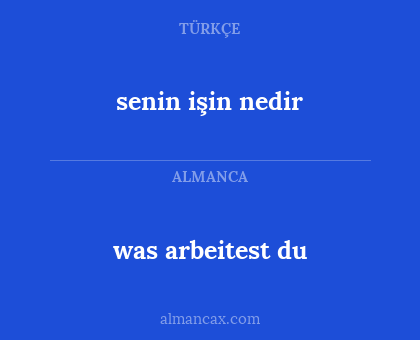 senin işin nedir - was arbeitest du