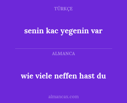 wie viele neffen hast du - senin kac yegenin var