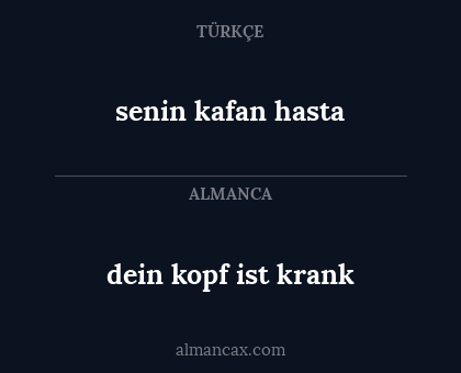 dein kopf ist krank - senin kafan hasta