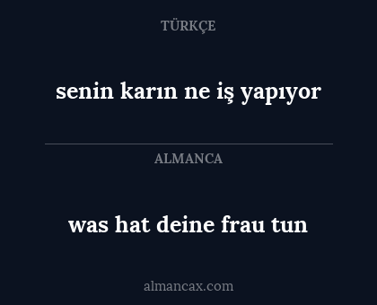 senin karın ne iş yapıyor - was hat deine frau tun
