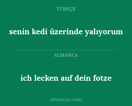 senin kedi üzerinde yalıyorum - ich lecken auf dein fotze