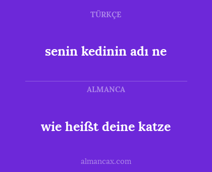 senin kedinin adı ne - wie heißt deine katze