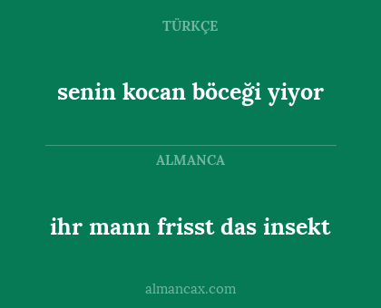 senin kocan böceği yiyor - ihr mann frisst das insekt