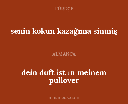 senin kokun kazağıma sinmiş - dein duft ist in meinem pullover