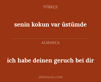 senin kokun var üstümde - ich habe deinen geruch bei dir