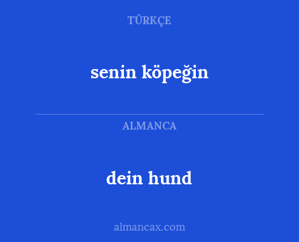 dein hund - senin köpeğin