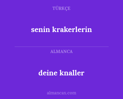 deine knaller - senin krakerlerin
