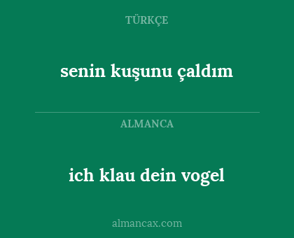 ich klau dein vogel - senin kuşunu çaldım
