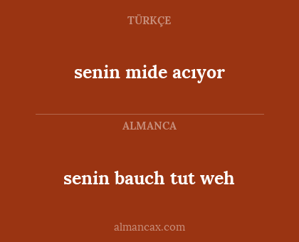 senin bauch tut weh - senin mide acıyor