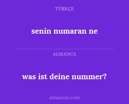 senin numaran ne - was ist deine nummer?
