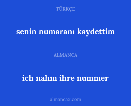 ich nahm ihre nummer - senin numaranı kaydettim