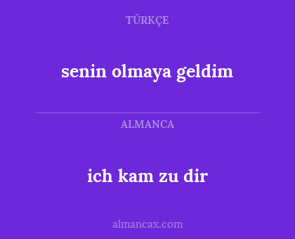 ich kam zu dir - senin olmaya geldim