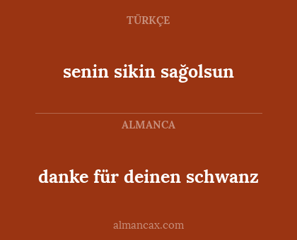 senin sikin sağolsun - danke für deinen schwanz