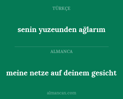 meine netze auf deinem gesicht - senin yuzeunden ağlarım
