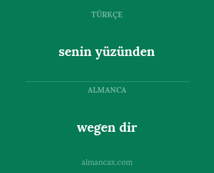 wegen dir - senin yüzünden