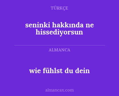 seninki hakkında ne hissediyorsun - wie fühlst du dein